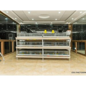 br0iler/brooding cage